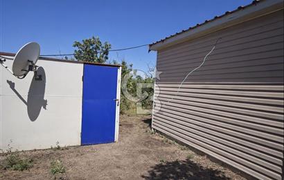 MUSELAND EVRENİN'DEN KEMALPAŞA AŞAĞI KIZILCA SATILIK BAĞ-BAHÇE