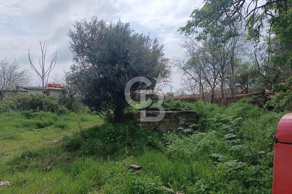 Evreşe Merkezde Müstakil Tapulu 1303 M2 Satılık Arsa