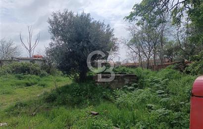 Evreşe Merkezde Müstakil Tapulu 1303 M2 Satılık Arsa