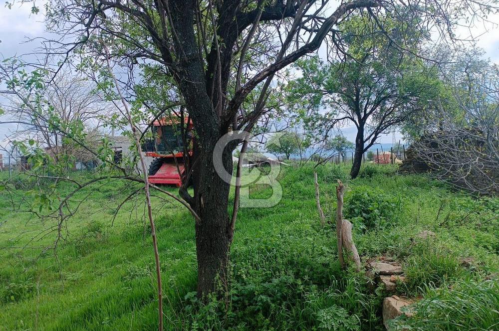 Evreşe Merkezde Müstakil Tapulu 1303 M2 Satılık Arsa