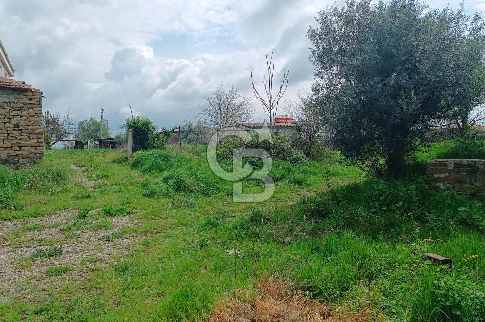 Evreşe Merkezde Müstakil Tapulu 1303 M2 Satılık Arsa