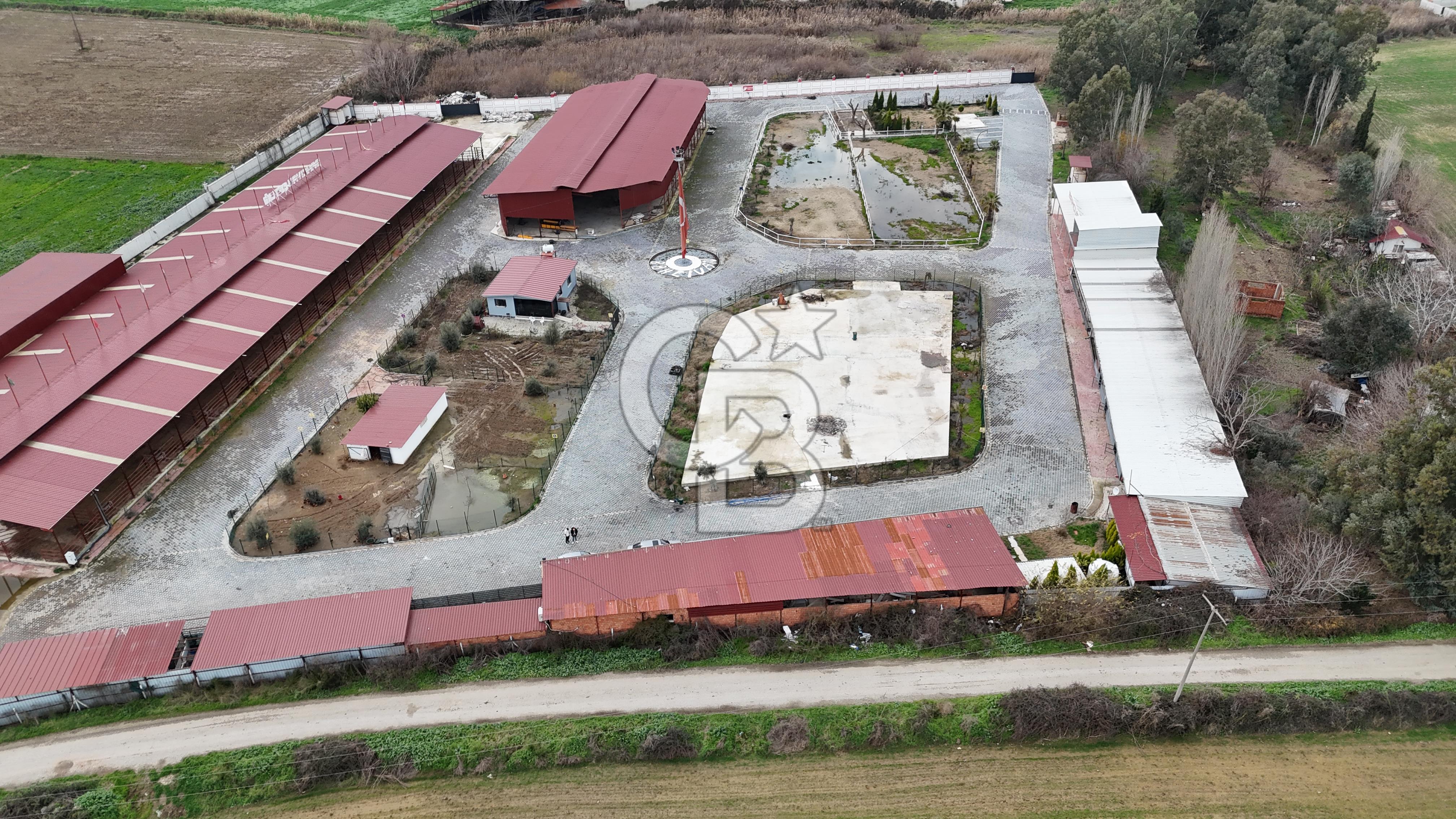 İzmir Torbalı’da Doğayla İç İçe, Yatırıma Uygun Satılık Çiftlik