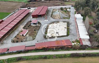 İzmir Torbalı’da Doğayla İç İçe, Yatırıma Uygun Satılık Çiftlik