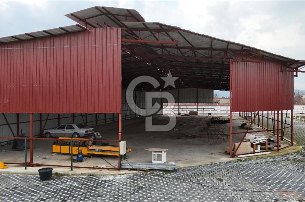 İzmir Torbalı’da Doğayla İç İçe, Yatırıma Uygun Satılık Çiftlik