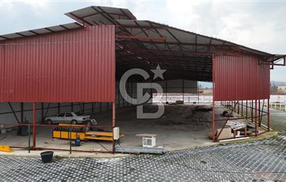 İzmir Torbalı’da Doğayla İç İçe, Yatırıma Uygun Satılık Çiftlik