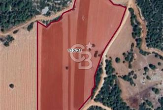 Yatırımcılar İçin Kaçırılmayacak Fırsat - 1 - 327631