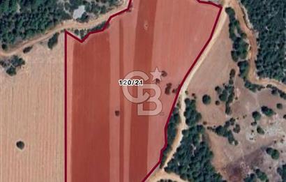 Yatırımcılar İçin Kaçırılmayacak Fırsat