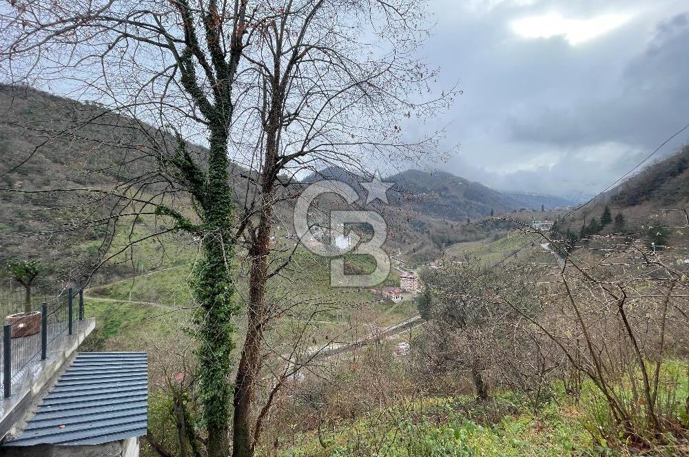 TRABZON YOMRA'DA DOĞAYLA İÇ İÇE SATILIK MÜSTAKİL EV