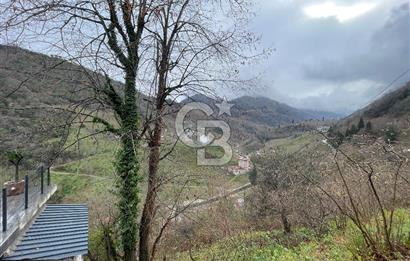 TRABZON YOMRA'DA DOĞAYLA İÇ İÇE SATILIK MÜSTAKİL EV