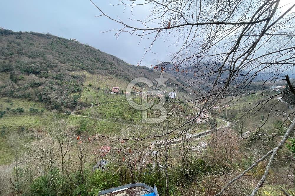TRABZON YOMRA'DA DOĞAYLA İÇ İÇE SATILIK MÜSTAKİL EV