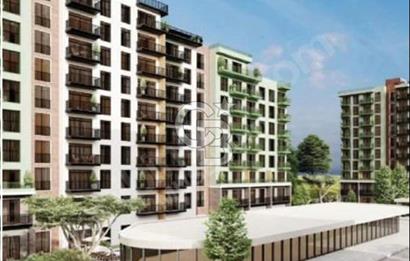 Menemen Meydan Feronia 