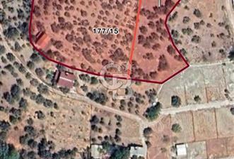 DAĞKIZILCA'DA 2800m2 SATILIK TARLA - 3 - 327652