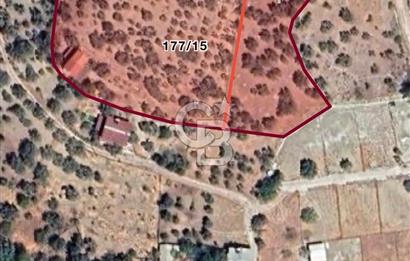 DAĞKIZILCA'DA 2800m2 SATILIK TARLA