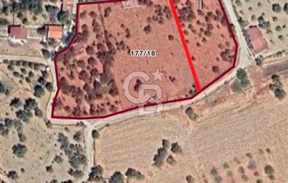 Dağkızılca'da 1800m2 satılık tarla