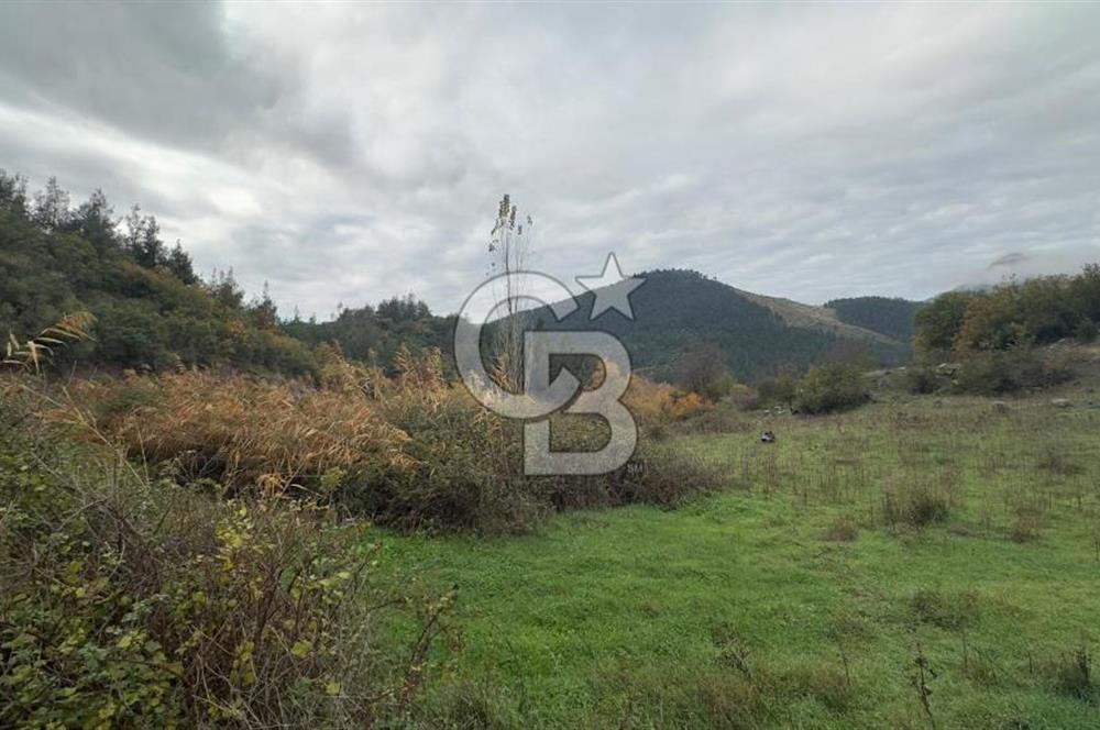 Sındırgıda Turizm İmarlı Arsa/6.864 m²/Yol Cepheli