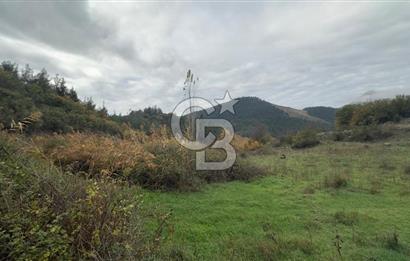 Sındırgıda Turizm İmarlı Arsa/6.864 m²/Yol Cepheli