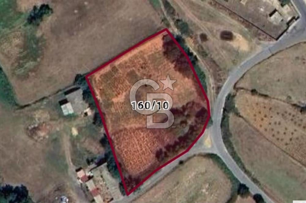 YENİKÖY'DE YENİ ŞEHİR PROJESİNDE SATILIK TARLA