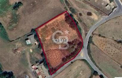 YENİKÖY'DE YENİ ŞEHİR PROJESİNDE SATILIK TARLA