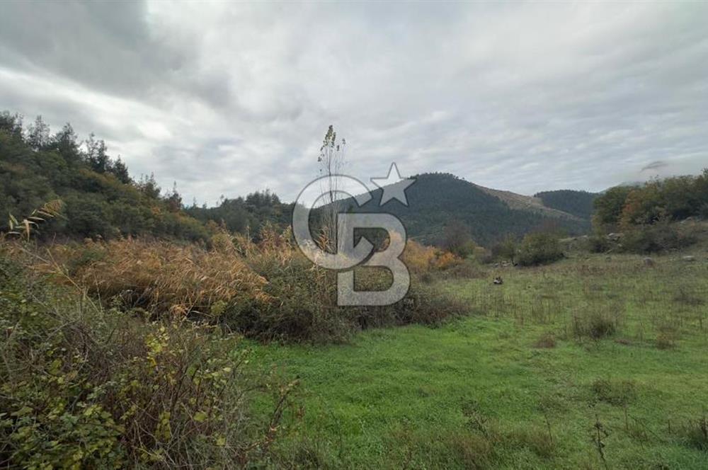 Sındırgıda Turizm İmarlı Arsa/6.864 m²/Yol Cepheli