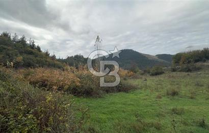 Sındırgıda Turizm İmarlı Arsa/6.864 m²/Yol Cepheli