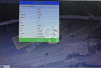 KANDIRA KIRKARMUTTA KOCAELİ KANDIRA YOLUNA 400 M MESAFEDE TARALA - 2 - 327708