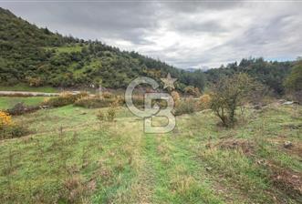 Sındırgıda Turizm İmarlı Arsa/6.864 m²/Yol Cepheli - 1 - 327717