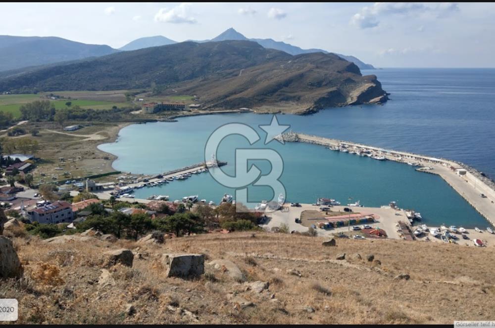 Gökçeada Yeni mahalle Güzelce Koyunda Satılık 7335 M2 Tarla