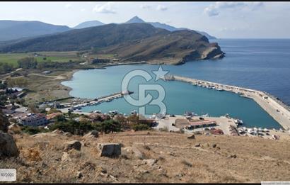 Gökçeada Yeni mahalle Güzelce Koyunda Satılık 7335 M2 Tarla