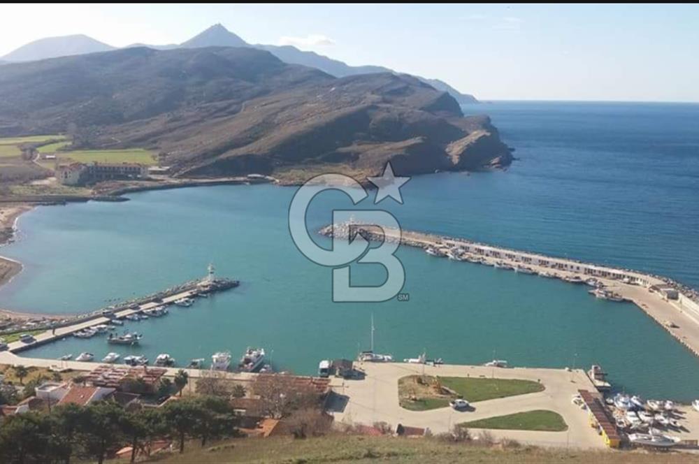 Gökçeada Yeni mahalle Güzelce Koyunda Satılık 7335 M2 Tarla