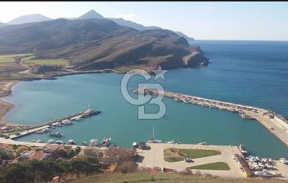 Gökçeada Yeni mahalle Güzelce Koyunda Satılık 7335 M2 Tarla