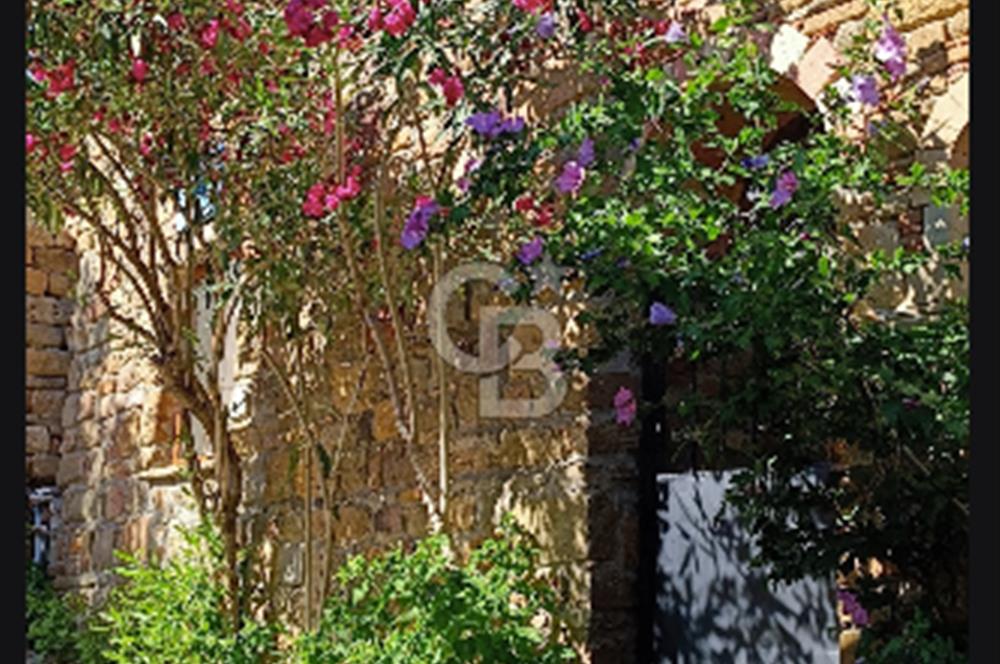 Gökçeada Yeni mahalle Güzelce Koyunda Satılık 7335 M2 Tarla