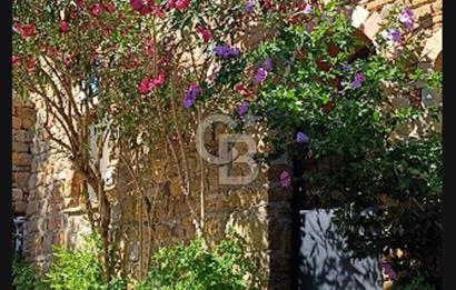 Gökçeada Yeni mahalle Güzelce Koyunda Satılık 7335 M2 Tarla