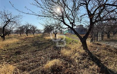 COLDWELL BANKER'den MALATYA-KAYSERİ YOLUNA KOMŞU SATILIK TARLA