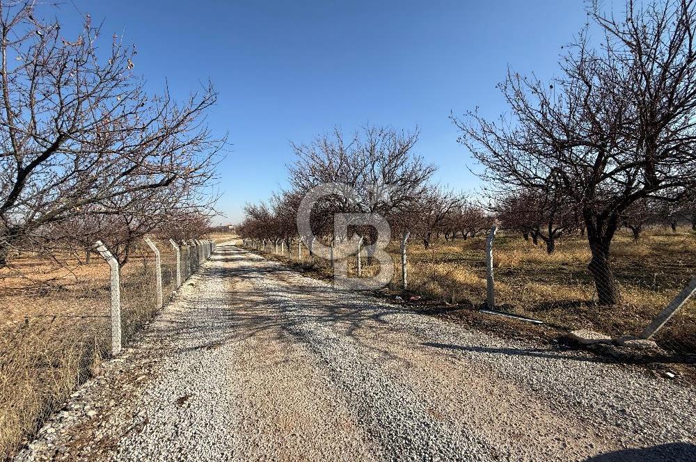 COLDWELL BANKER'den MALATYA-KAYSERİ YOLUNA KOMŞU SATILIK TARLA