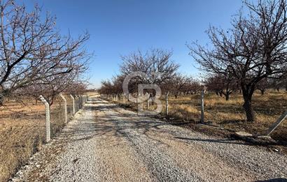 COLDWELL BANKER'den MALATYA-KAYSERİ YOLUNA KOMŞU SATILIK TARLA