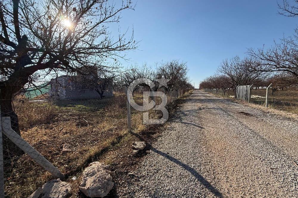 COLDWELL BANKER'den MALATYA-KAYSERİ YOLUNA KOMŞU SATILIK TARLA