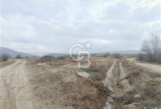 COLDWELL BANKER SAFİR'den DOĞANŞEHİR de SATILIK BAĞ-BAHÇE - 2 - 333459