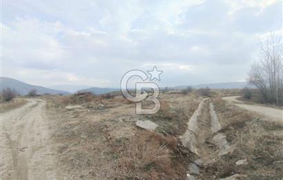 COLDWELL BANKER SAFİR'den DOĞANŞEHİR de SATILIK BAĞ-BAHÇE