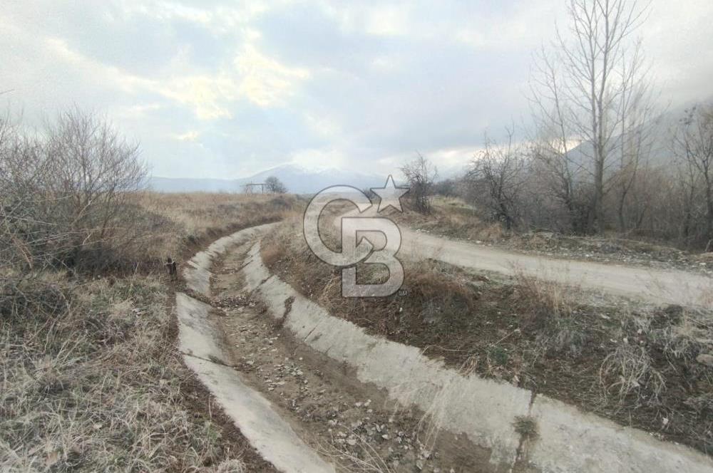 COLDWELL BANKER SAFİR'den DOĞANŞEHİR de SATILIK BAĞ-BAHÇE