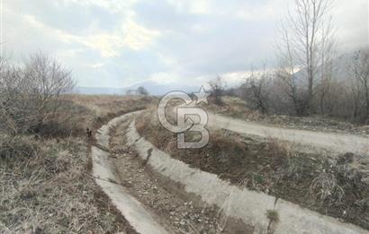 COLDWELL BANKER SAFİR'den DOĞANŞEHİR de SATILIK BAĞ-BAHÇE