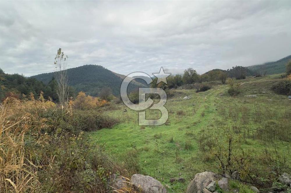 Sındırgıda Turizm İmarlı Arsa/6.864 m²/Yol Cepheli