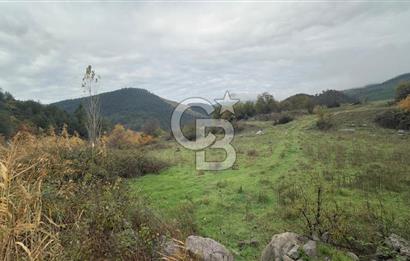 Sındırgıda Turizm İmarlı Arsa/6.864 m²/Yol Cepheli