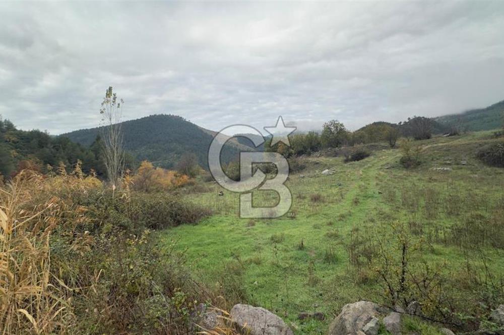 Sındırgıda Turizm İmarlı Arsa/6.864 m²/Yol Cepheli