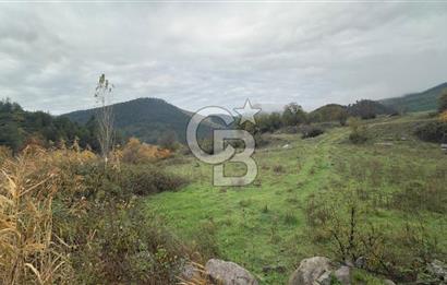 Sındırgıda Turizm İmarlı Arsa/6.864 m²/Yol Cepheli