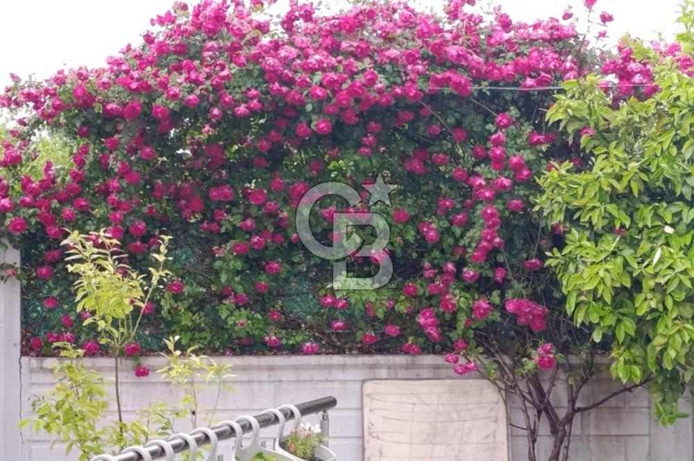 TEK VİLLA FİYATINA İKİ LÜKS VİLLA!! HUZUR, KONFOR VE İYİ KONUM!!