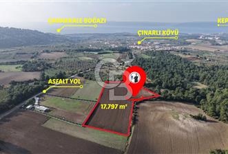 ÇANAKKALE ÇINARLI KÖYÜ YATIRIM DEĞERİ ÇOK GÜÇLÜ SATILIK HİSSE - 7 - 327810