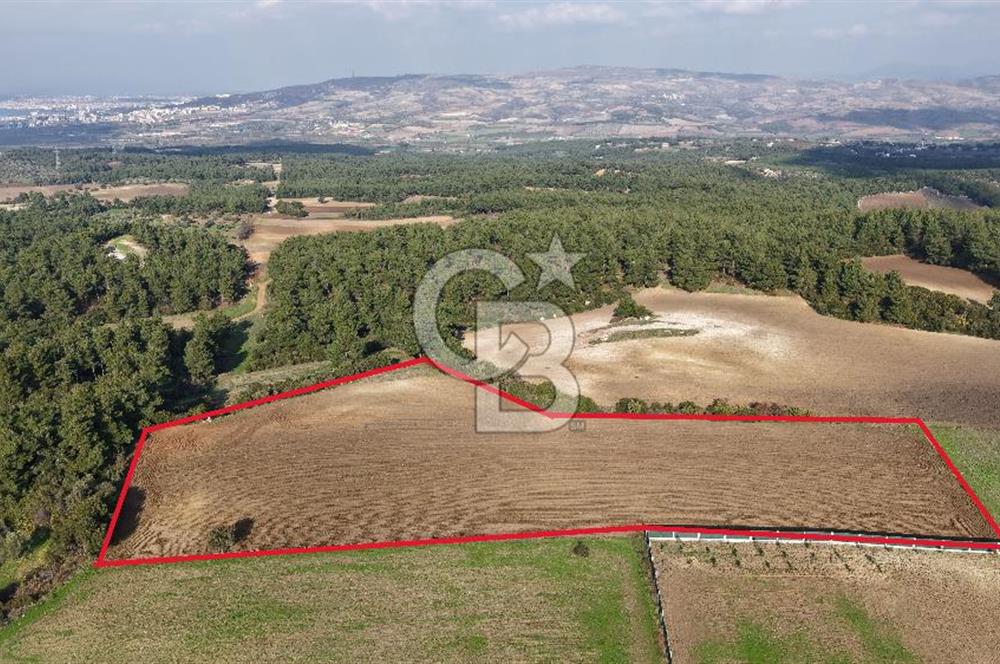 ÇANAKKALE ÇINARLI KÖYÜ YATIRIM DEĞERİ ÇOK GÜÇLÜ SATILIK HİSSE