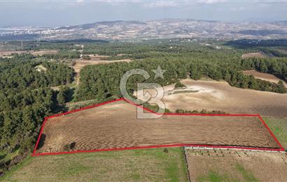 ÇANAKKALE ÇINARLI KÖYÜ YATIRIM DEĞERİ ÇOK GÜÇLÜ SATILIK HİSSE