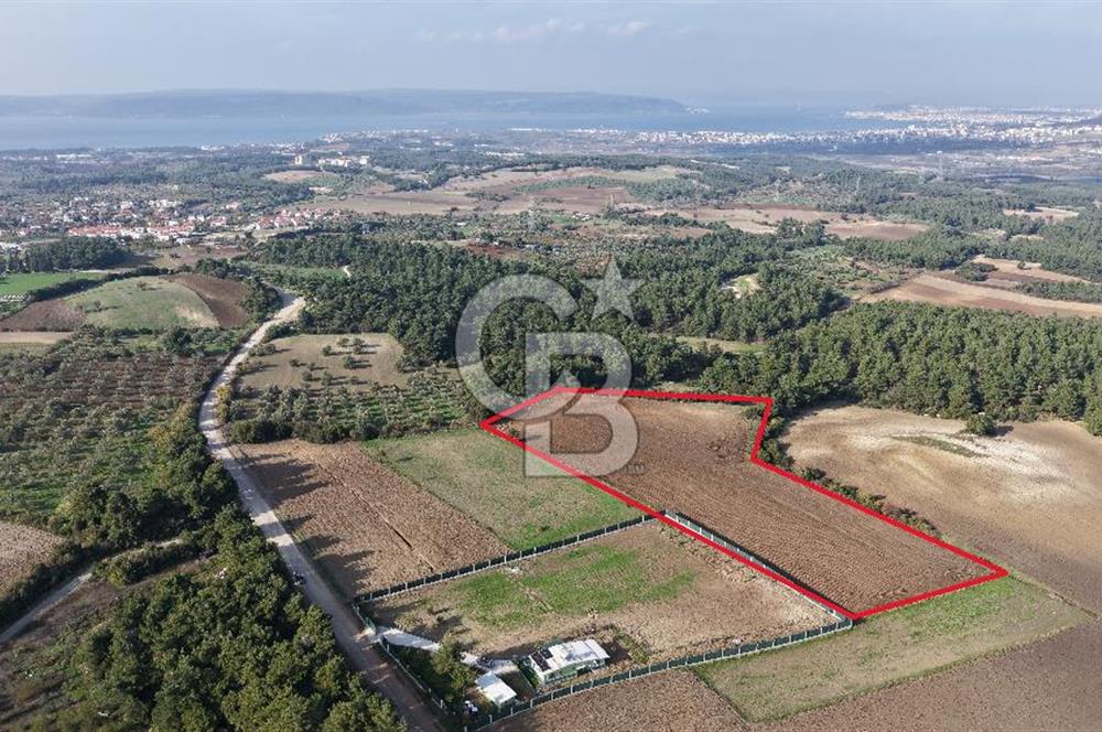 ÇANAKKALE ÇINARLI KÖYÜ YATIRIM DEĞERİ ÇOK GÜÇLÜ SATILIK HİSSE