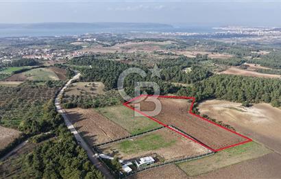 ÇANAKKALE ÇINARLI KÖYÜ YATIRIM DEĞERİ ÇOK GÜÇLÜ SATILIK HİSSE